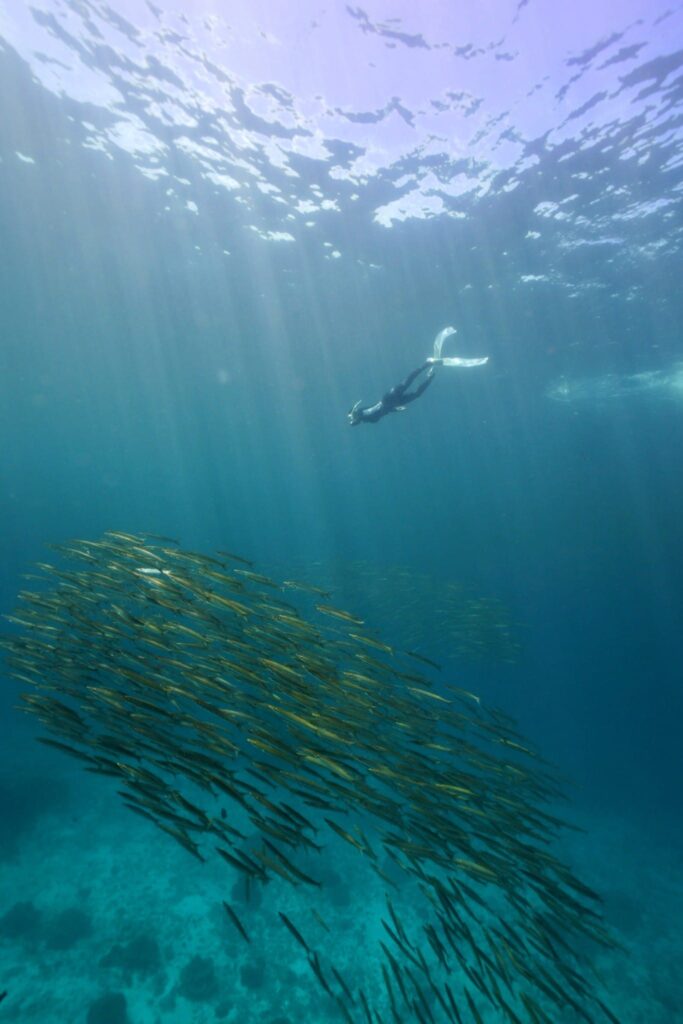 503195283_10237844940972074_2780422612097502935_n