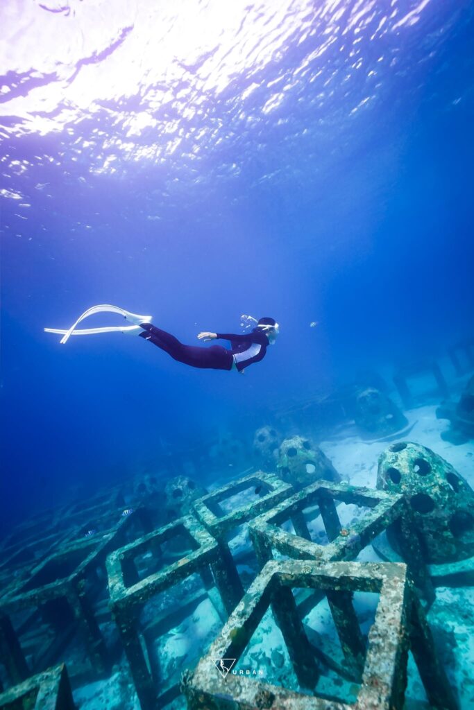 503220001_10237844941132078_3212197311279665415_n