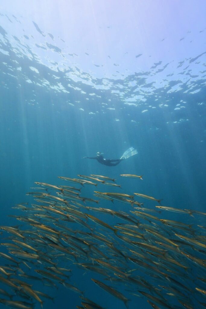 503747129_10237844941052076_3758659725386085509_n